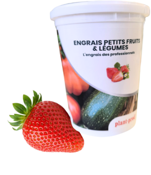 PLANTPROD 22-10-22 - engrais soluble