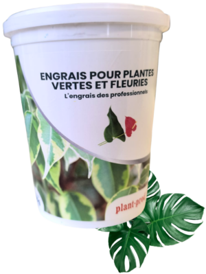Engrais soluble : PLANTPROD 28-14-14