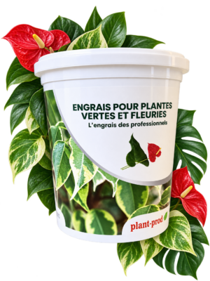 Engrais soluble : PLANTPROD 28-14-14