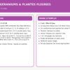 fertil_floraison_1l
