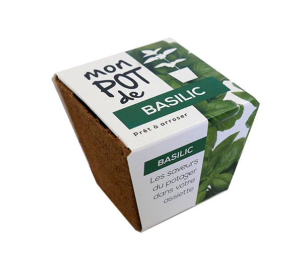 Kit mon pot de Basilic