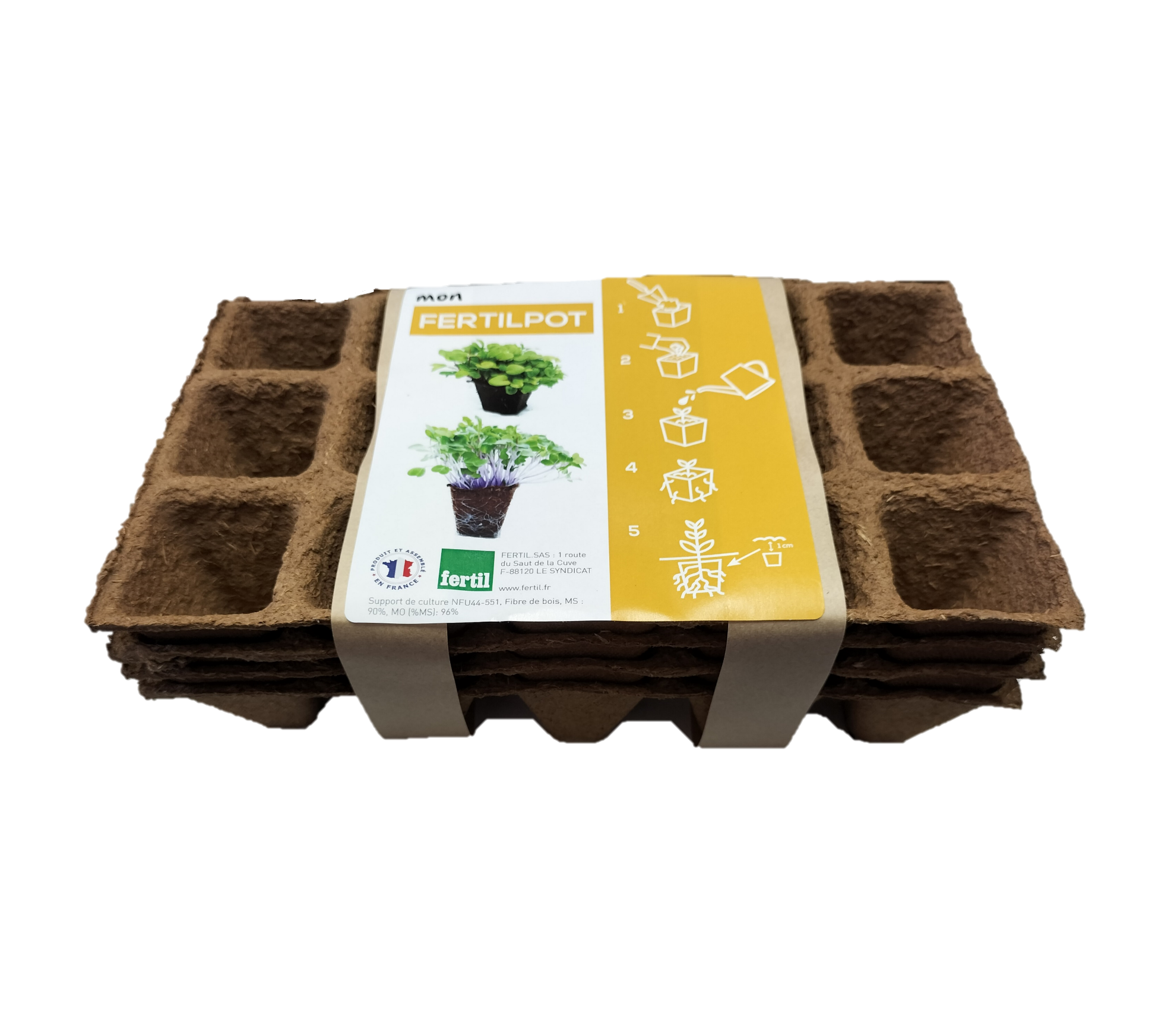 3FP.5P.BC1 3FP.5P.BC1