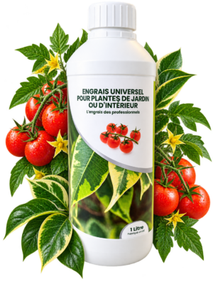 Engrais liquide : FERTIL10-10-10