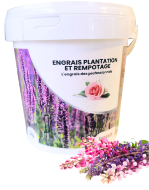 TOPCOTE 13-7-21 Engrais plantation et rempotage
