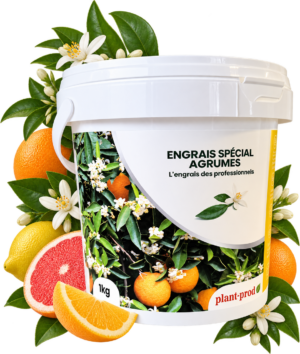 Engrais soluble : PLANTPROD 15-15-30