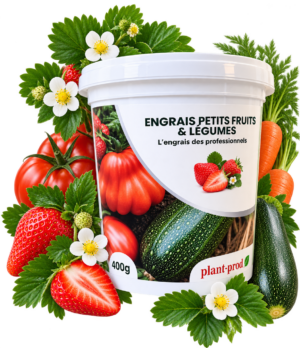 Engrais soluble: PLANTPROD 22-10-22