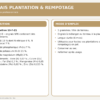 plantation_1kg