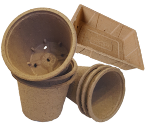 Nouvelle Technologie (NT)