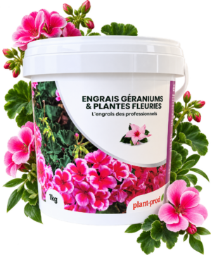 Engrais soluble : PLANTPROD 17-10-30